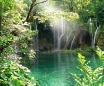kool nature