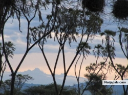 bundotich (kipruto)