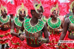 Naija Carnival. Attendance