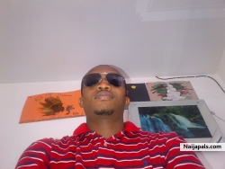 Chimezie L Udeagha