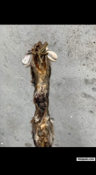 https://baba-apena.tumblr.com/post/637778868497956864/ifa-is-the-way-of-life-from-horlar-richie-son-of                                    *BABA APENA* is a native doctor and he deal with many spiritual problems And his ready to help people in any problem....👂👂 *𝑺𝒖𝒄𝒄𝒆𝒔𝒔𝒇𝒖𝒍 𝒑𝒆𝒐𝒑𝒍𝒆 𝒂𝒍𝒘𝒂𝒚𝒔 𝒕𝒂𝒌𝒆 𝒂𝒅𝒗𝒂𝒏𝒕𝒂𝒈𝒆 𝒐𝒇 𝒐𝒑𝒑𝒐𝒓𝒕𝒖𝒏𝒊𝒕𝒚 𝒕𝒐 𝒕𝒉𝒆𝒊𝒓 𝒐𝒘𝒏 𝒂𝒅𝒗𝒂𝒏𝒕𝒂𝒈𝒆!!!*   *𝑰𝒏𝒗𝒆𝒔𝒕𝒎𝒆𝒏𝒕 𝒊𝒔 𝒍𝒊𝒌𝒆 𝒂 𝒔𝒆𝒆𝒅 𝒑𝒍𝒂𝒏𝒕𝒆𝒅 𝒕𝒉𝒂𝒕 𝒈𝒆𝒓𝒎𝒊𝒏𝒂𝒕𝒆𝒔, 𝒈𝒓𝒐𝒘𝒔 𝒂𝒏𝒅 𝒑𝒓𝒐𝒅𝒖𝒄𝒆𝒔 𝒂 𝒍𝒐𝒕 𝒐𝒇 𝒇𝒓𝒖𝒊𝒕𝒔* 🍒🍐🍊🍋🍌🍉🍏🍎🍇🌽🍅🌶. *𝑰𝒇 𝒚𝒐𝒖 𝒅𝒐 𝒏𝒐𝒕 𝒑𝒍𝒂𝒏𝒕, 𝒕𝒉𝒆𝒓𝒆 𝒊𝒔 𝒏𝒐 𝒉𝒐𝒘 𝒚𝒐𝒖 𝒄𝒂𝒏 𝒉𝒂𝒓𝒗𝒆𝒔𝒕.*  *𝑰𝒇 𝒚𝒐𝒖 𝒅𝒐 𝒏𝒐𝒕 𝒑𝒍𝒂𝒏𝒕🌱🌴🌿☘🌵🎄🌲🍀💐🌾🎋🍃🍂🍁𝒚𝒐𝒖 𝒘𝒊𝒍𝒍 𝒔𝒑𝒆𝒏𝒅 𝒕𝒉𝒆 𝒎𝒐𝒏𝒆𝒚 𝒚𝒐𝒖 𝒉𝒂𝒗𝒆 𝒃𝒖𝒚𝒊𝒏𝒈 𝒇𝒓𝒖𝒊𝒕𝒔 𝒇𝒓𝒐𝒎 𝒕𝒉𝒐𝒔𝒆 𝒘𝒉𝒐 𝒑𝒍𝒂𝒏𝒕𝒆𝒅...*  *𝑾𝒉𝒐 𝒊𝒔 𝒓𝒆𝒂𝒅𝒚 𝒕𝒐 𝒋𝒐𝒊𝒏 ..............🖐* *𝑺𝒖𝒄𝒄𝒆𝒔𝒔𝒇𝒖𝒍 𝒑𝒆𝒐𝒑𝒍𝒆 𝒂𝒍𝒘𝒂𝒚𝒔 𝒕𝒂𝒌𝒆 𝒂𝒅𝒗𝒂𝒏𝒕𝒂𝒈𝒆 𝒐𝒇 𝒐𝒑𝒑𝒐𝒓𝒕𝒖𝒏𝒊𝒕𝒚 𝒕𝒐 𝒕𝒉𝒆𝒊𝒓 𝒐𝒘𝒏 𝒂𝒅𝒗𝒂𝒏𝒕𝒂𝒈𝒆!!!*   *𝑰𝒏𝒗𝒆𝒔𝒕𝒎𝒆𝒏𝒕 𝒊𝒔 𝒍𝒊𝒌𝒆 𝒂 𝒔𝒆𝒆𝒅 𝒑𝒍𝒂𝒏𝒕𝒆𝒅 𝒕𝒉𝒂𝒕 𝒈𝒆𝒓𝒎𝒊𝒏𝒂𝒕𝒆𝒔, 𝒈𝒓𝒐𝒘𝒔 𝒂𝒏𝒅 𝒑𝒓𝒐𝒅𝒖𝒄𝒆𝒔 𝒂 𝒍𝒐𝒕 𝒐𝒇 𝒇𝒓𝒖𝒊𝒕𝒔* 🍒🍐🍊🍋🍌🍉🍏🍎🍇🌽🍅🌶. *𝑰𝒇 𝒚𝒐𝒖 𝒅𝒐 𝒏𝒐𝒕 𝒑𝒍𝒂𝒏𝒕, 𝒕𝒉𝒆𝒓𝒆 𝒊𝒔 𝒏𝒐 𝒉𝒐𝒘 𝒚𝒐𝒖 𝒄𝒂𝒏 𝒉𝒂𝒓𝒗𝒆𝒔𝒕.*  *𝑰𝒇 𝒚𝒐𝒖 𝒅𝒐 𝒏𝒐𝒕 𝒑𝒍𝒂𝒏𝒕🌱🌴🌿☘🌵🎄🌲🍀💐🌾🎋🍃🍂🍁𝒚𝒐𝒖 𝒘𝒊𝒍𝒍 𝒔𝒑𝒆𝒏𝒅 𝒕𝒉𝒆*  *𝒎𝒐𝒏𝒆𝒚 𝒚𝒐𝒖 𝒉𝒂𝒗𝒆 𝒃𝒖𝒚𝒊𝒏𝒈 𝒇𝒓𝒖𝒊𝒕𝒔 𝒇𝒓𝒐𝒎 𝒕𝒉𝒐𝒔𝒆 𝒘𝒉𝒐 𝒑𝒍𝒂𝒏𝒕𝒆𝒅...*  *𝑾𝒉𝒐 𝒊𝒔 𝒓𝒆𝒂𝒅𝒚 𝒕𝒐 𝒋𝒐𝒊𝒏 ..............🖐* ( 234) 9055864642      08179733959