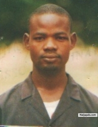 MOSES GMO  (GMOLUV)
