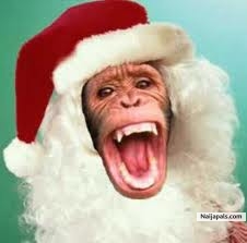 2010 xmas outing