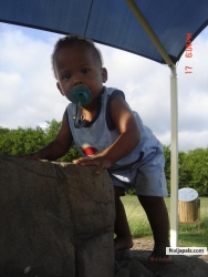 darius