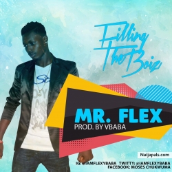 Mr flex ft cash1-filling the boiz by Mr flex 