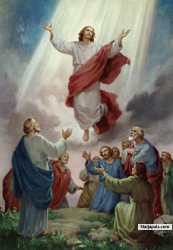 Saviour