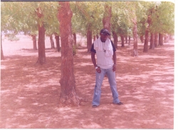 At a Picnic