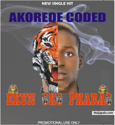Emi ekun by Akorede coded