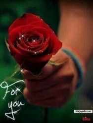 cyril (valentine200)