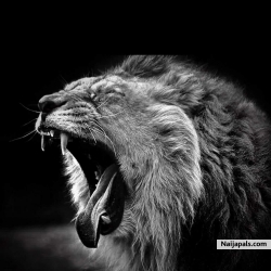 rep adugbo re by lion