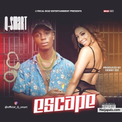 Q Smart by Escape