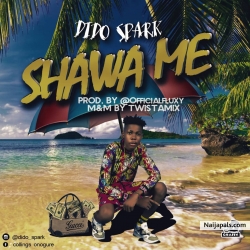 Shawa Me by Dido Spark
