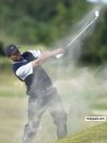 tiger woods