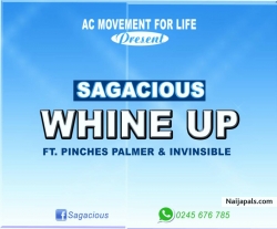 Whine Up (mixed by Kopow) by Sagacious  ft Pinches Palmer & Invisible