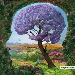 Learn from Nature