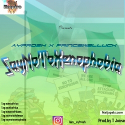 SayNoToXenophobia by Ayfrosh X princewelluck