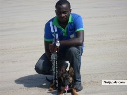 Beach with my dog Pablo