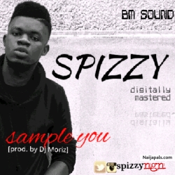 sample you by spizzy
