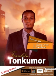 Nana OWEI By Franklin Tonkumor by Franklin