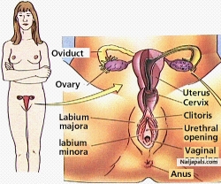 IF YOU ARE OK AS A WOMAN THIS WAY