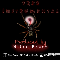Freebeat_Afrobeat_Prod_By_Bliss_Beatz by Bliss_Beatz