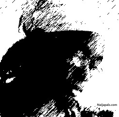 My Picture