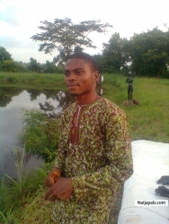 Olawale Solomon Ayinde (Orlar4u2)