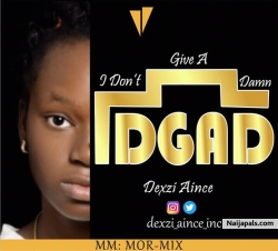 I Don' t Give A Dam by Dexi Aince