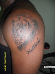 My Picture
