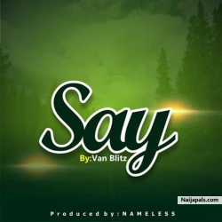 SAY by Van Blitz