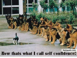 That's what i call self confidence