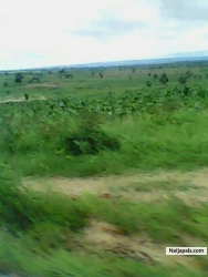 ozioma nwamuo