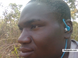 farm tins