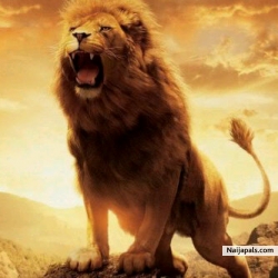 Lion King (dgreatlion)