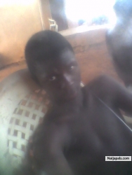 KELVIN