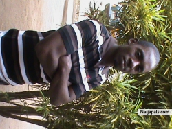 kofi (loveone1)