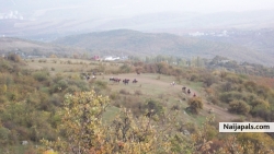 nature