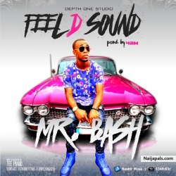 Bashir musa, Mr bash is hip hop   rnb singer hails from kogi state from a family of 4 children. Born in the early 90's got lyk 3 single to his credit he just dropped 2 new singles titled feel d sound n ur love both produced by 4am. Mixed n mastered by tee piano.#feel d sound is a sensation music piece which has blend of house n pop genre. Its a dance track all d way.#ur love is a dance hall(contemporary)track.mr bash currently working on his music video shoot u can follow him on twitter @mr bash111
