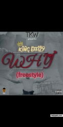 WHY? by King Effizy