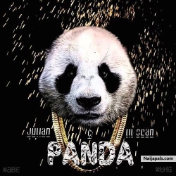 Panda by sean