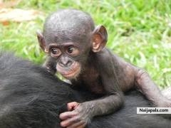 MAMA I LOVE YOU COS AM PRETYY ENOUGH.