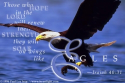 soar like eagles