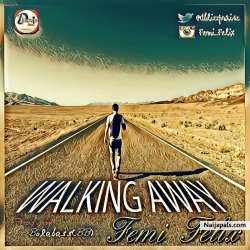 Walking Away by Femi Felix