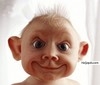 The_First BigDon