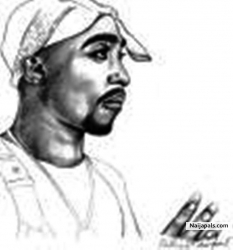 My Picture
