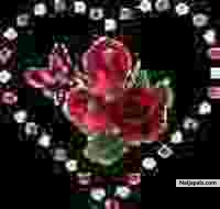heart2heat