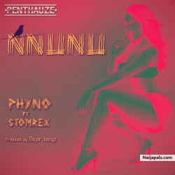 Nnunu by  Phyno ft. StormRex (Prod. Major Bangz)