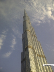 dubia