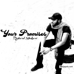 Your Promises by Richard Shekari
