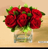 victoria (victoria1love)